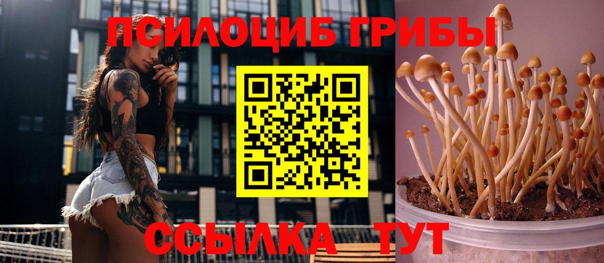 Галлюциногенные грибы ЛСД Кулебаки